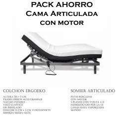 Pack Ahorro Cama Articulada motor